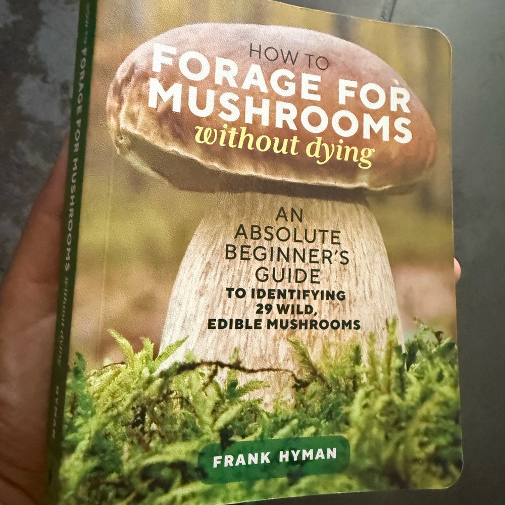 Frank Lyman Design Mushroom Foraging Guide - Green and Brown